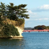 Miyagi, đóa hoa phục hưng nở rộ